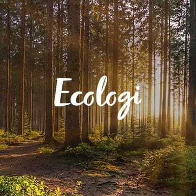 AdobeStock_242895340
