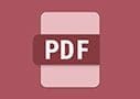 workflow-central-icon-pdf-en